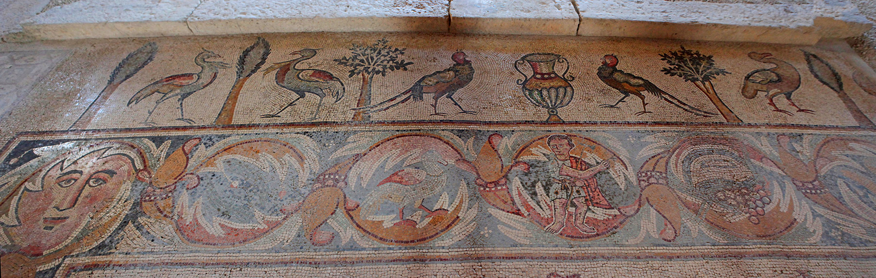 [Group-1]- MG 1669  MG 1671-3-images